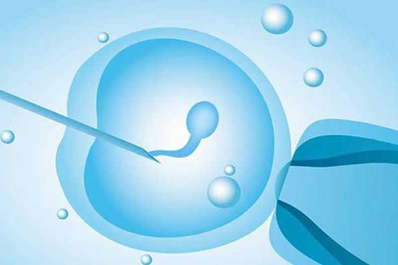 第一代試管嬰兒(IVF)流程_成功率_費用_適用人群介紹(圖2) 第一代試管嬰兒(IVF)流程_成功率_費用_適用人群介紹(圖2)