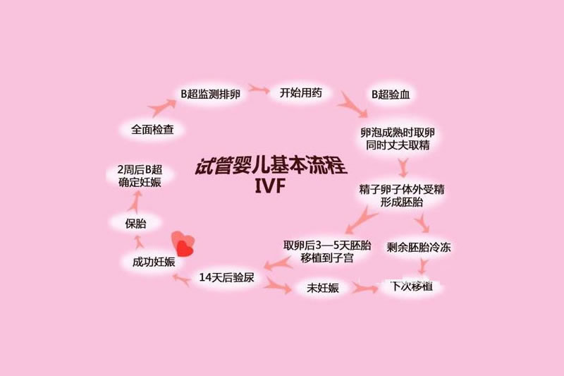第一代試管嬰兒(IVF)流程_成功率_費用_適用人群介紹