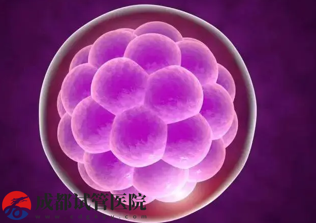優(yōu)胚養(yǎng)囊不成功的患者建議，調節(jié)飲食可以提高成功率(圖1)