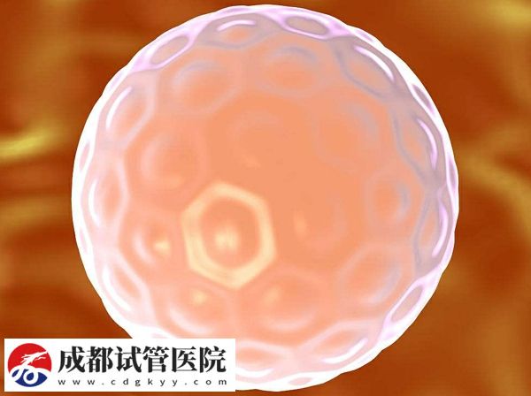 試管嬰兒微刺激方案  微刺激方案適宜人群