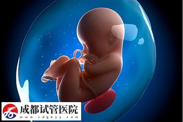 試管嬰兒的真實(shí)含義解說，單周期助孕費(fèi)用無法一概而論！(圖2)