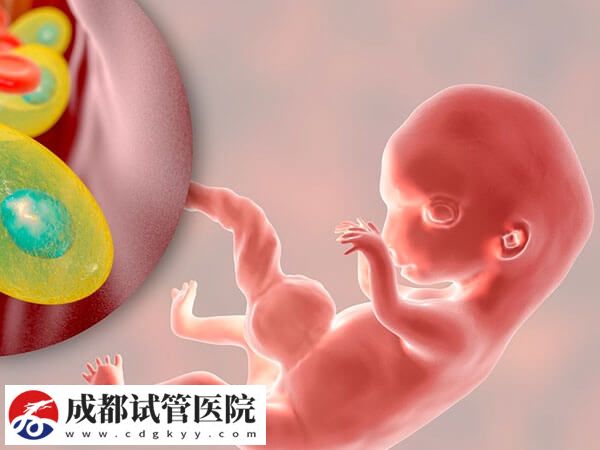 試管嬰兒懷雙胞胎同樣有風險，五大危害已羅列在此！(圖2)