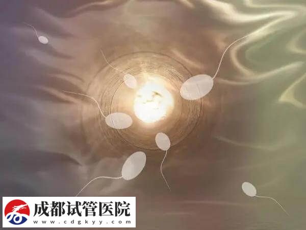 试管婴儿适应症一文说请，满足条件者均可申请助孕！(图1)