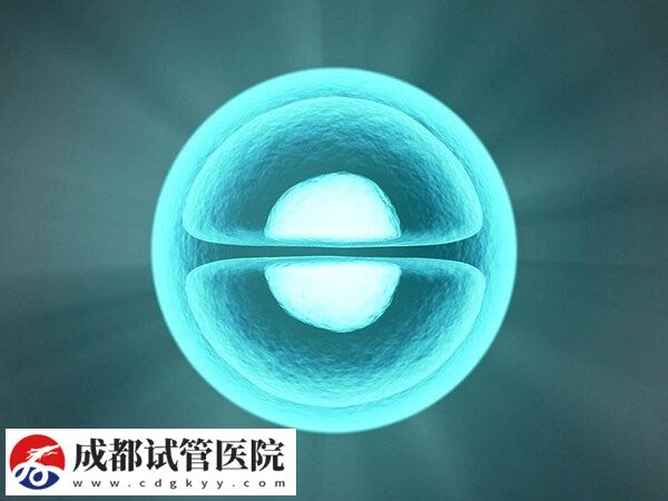 成都華西第二醫院有沒有卵子庫，能做供卵試管嬰兒嗎？(圖1)