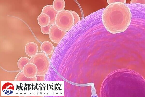 試管嬰兒能不能懷孕主要看什么(圖2)