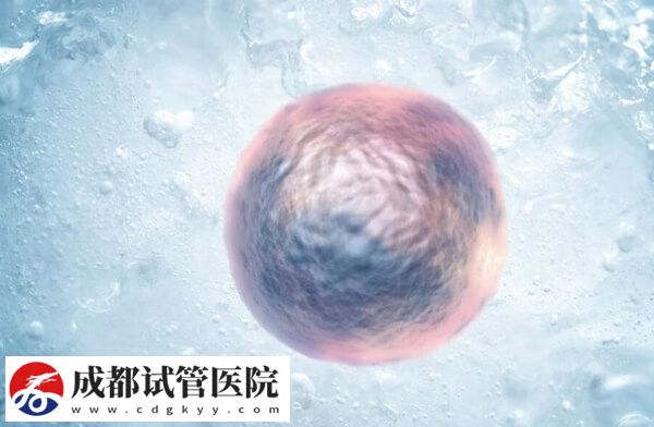 為什么不讓單身女性凍卵(圖1)