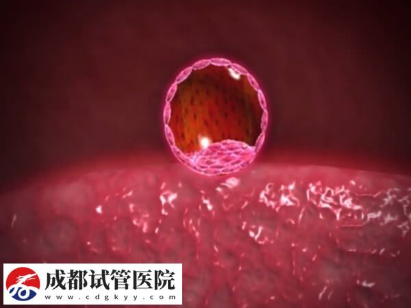 試管移植后48小時(shí)是不是很關(guān)鍵(圖2)