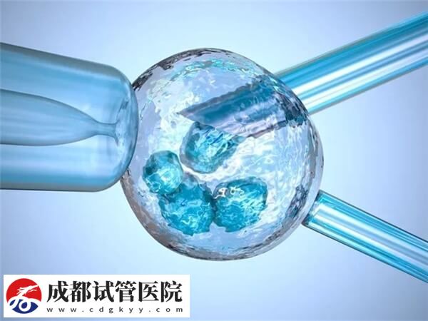 試管移植hrt方案成功率高不高(圖2)