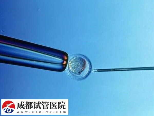試管移植hrt方案成功率高不高(圖1)