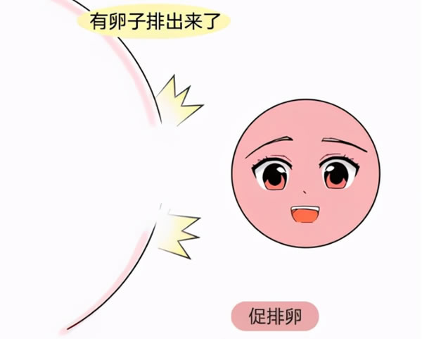 懷孕后怎樣能最早知道男孩女孩？有什么癥狀嗎？(圖1)