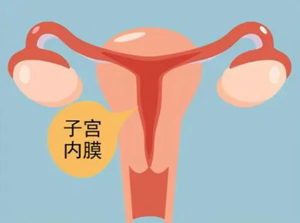 懷孕后判斷男女最準方法是什么？如何才能判斷男女？(圖1)