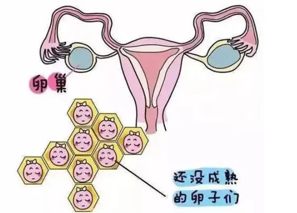 檢查男孩女孩什么最準確？還有哪些判斷胎兒性別的方法？(圖1)